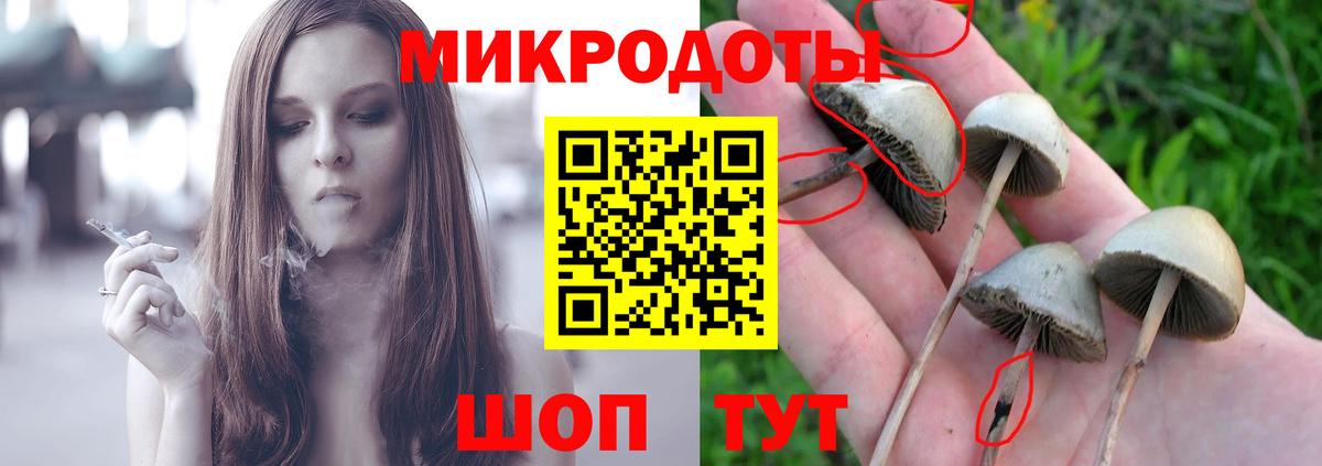 Галлюциногенные грибы прущие грибы Наро-Фоминск